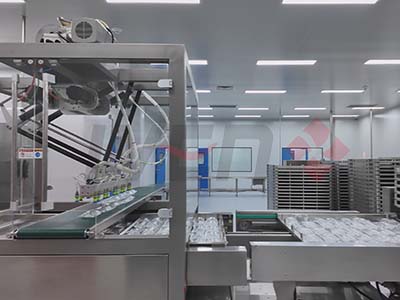 Turnkey 6 USA IV bag turnkey project 4