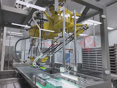 Turnkey 7 USA IV bag turnkey project 5