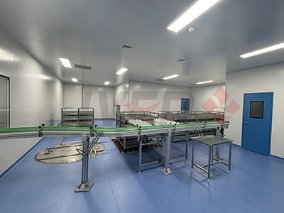 Company Profile 38 soft bag IV solution turnkey project 16